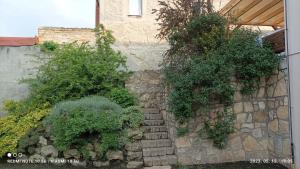 una pared de piedra con una escalera de piedra con plantas en Fejesvölgy Stúdióapartman, en Veszprém