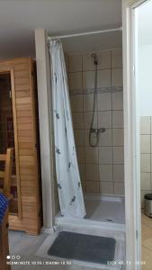 een badkamer met een douche en een douchegordijn bij Fejesvölgy Stúdióapartman in Veszprém