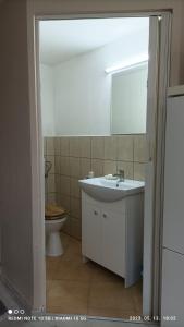 a bathroom with a sink and a toilet at Fejesvölgy Stúdióapartman in Veszprém