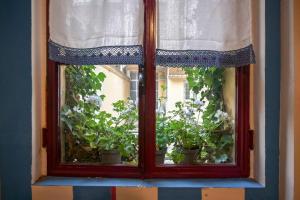 una ventana con macetas en una habitación en Loft Principe Tommaso - San Salvario., en Turín
