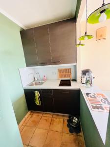 a small kitchen with a sink and a counter at Vue panoramique mer et collines in Grimaud