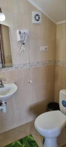 un bagno con un water, un lavandino e uno specchio di VILLA VERA a Berehove Altre 22 foto