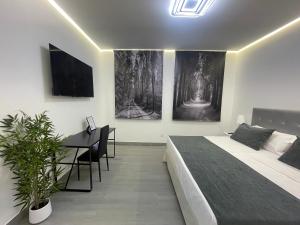 Dormitorio con cama, escritorio y carteles en SUARA Apartamentos 3, en Madrid