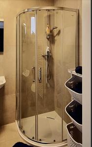 La salle de bains est pourvue d'une douche avec une porte en verre. dans l'établissement Apartmán Zlatý kříž, à Písek