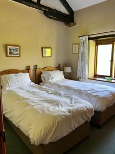 2 Einzelbetten in einem Schlafzimmer mit Fenster in der Unterkunft The Barn at Walker Ground Manor in Hawkshead