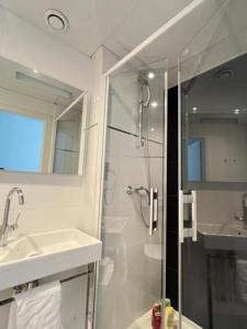 a bathroom with a shower and a sink and a mirror at Residence OLit Cathédrale in Strasbourg