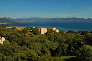 a group of houses on a hill next to the water at Casa Soprana in Porto Pollo
