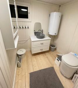 a small bathroom with a toilet and a sink at Cozy holiday home in Tranas, Odeshog in Tranås