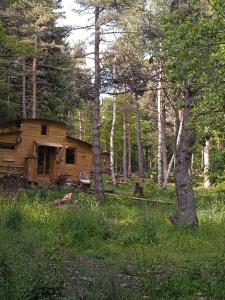 a log cabin in a forest with trees at Chalet Cricri Domaine de la Mamounette in Champclause