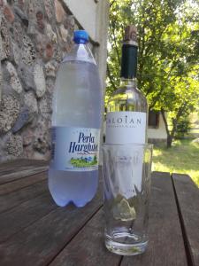 a bottle of water and a glass on a wooden table at La Actoru` in Vama Veche