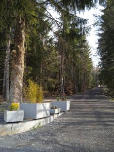 Fotografie z fotogalerie ubytování Chalet Cricri Domaine de la Mamounette v destinaci Champclause