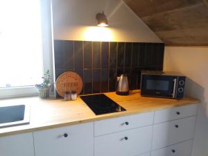 Gallery image of Apartamenty Zielone Drzwi in Kruklanki