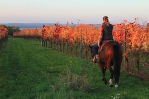a woman riding a horse through a vineyard at Family Ranch Urlaub am Pferdehof 