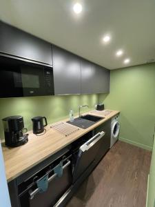 une cuisine avec un évier et une machine à laver dans l'établissement L'Ecrin d'Edern 4pers Mont Dore, à Le Mont-Dore