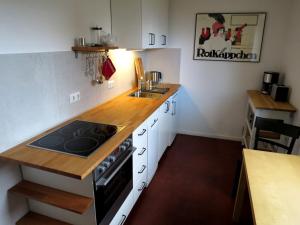 een kleine keuken met een fornuis en een wastafel bij Ferienwohnung Butterbirne in Niedergörsdorf