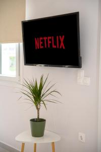 a tv on a wall with a plant on a table at Olivia’s House in Kavos