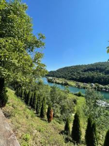 a row of trees on a hill next to a river at Apartment with river Una view / Ilma 1 in Bihać