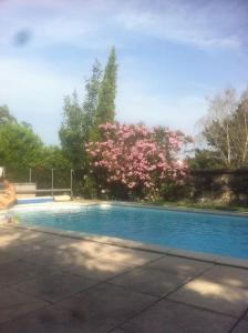 a swimming pool with a person sitting next to a tree at Ardèche, studio indépendant dans jardin in Chomérac