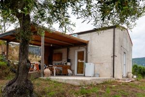 une petite maison blanche avec un arbre en face dans l'établissement Orto Degli Ulivi, à Cefalù