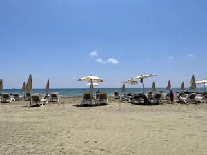 a beach with chairs and umbrellas and the ocean at The Dive Studio in Larnaka
