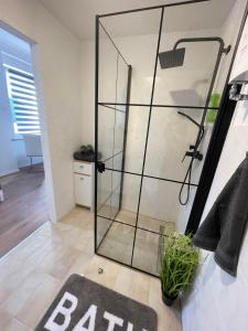 a bathroom with a shower with a glass shower stall at Apartment Mirabelle 2 in Püttlingen