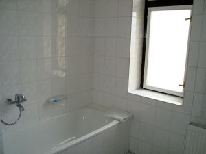 a bathroom with a bath tub and a window at Hotel Jaro in Mělník