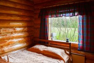 a bed in a log cabin with a window at Luha Talu in Rebaste