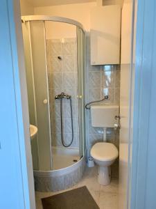 La petite salle de bains est pourvue d'une douche et de toilettes. dans l'établissement Apartmani Divić, à Drvenik