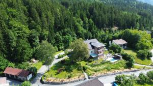 an aerial view of a house in the middle of a forest at Villa Blumegg in Hermagor