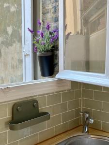 een wastafel in de badkamer met een potplant op een vensterbank bij Studio de la Maison de la Plage à 150 m de la plage " Chez Anne à la plage" in Trouville-sur-Mer