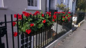 una cerca con geranios rojos en una casa en 1 Bed Martello By Pureserviced, en Plymouth