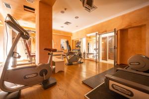Фитнес-центр и/или тренажеры в Relais Villa San Martino