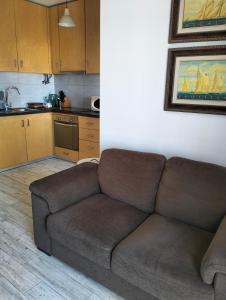 ein Wohnzimmer mit einem Sofa und einer Küche in der Unterkunft Apartamento T2 in Vila Praia de Âncora