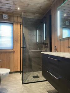 a bathroom with a shower and a sink and a toilet at Hjemmekoselig hytte på Rauland in Rauland