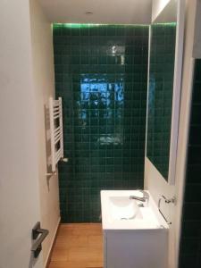 a green tiled bathroom with a sink and a shower at Charming and Luminous Studio in Lake 1 Tunis in Tunis