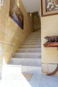 un escalier dans un bâtiment avec un mur en pierre dans l'établissement Casa Deguara townhouse Rabat Malta, à Rabat