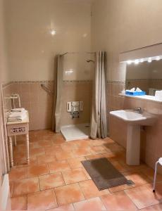 Ein Badezimmer in der Unterkunft Hôtel du Château de Quinéville