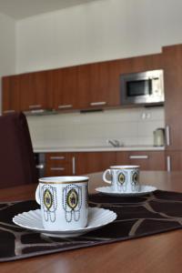 Kuchyň nebo kuchyňský kout v ubytování Apartments Verona Karlovy Vary