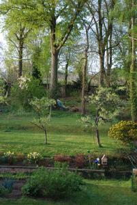 un parc avec des arbres et un champ d'herbe dans l'établissement La Maison de Georges - Les Coquelicots, à Scharrachbergheim-Irmstett