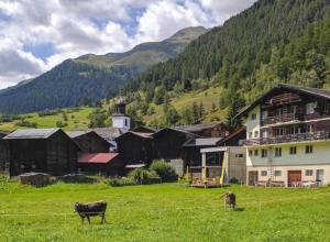 two cows grazing in a field in front of a mountain at Cozy chalet apartment near hiking trail and ski lift in Oberiberg