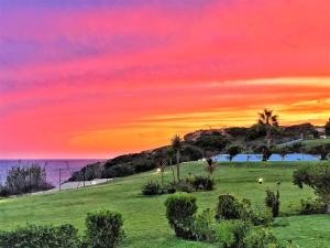een zonsondergang boven een groen veld met palmbomen en de oceaan bij Casas Fuente del Sol in Conil de la Frontera