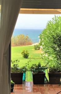 een uitzicht vanuit een kamer met potplanten en de oceaan bij Casas Fuente del Sol in Conil de la Frontera