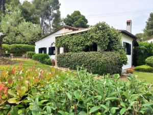 Zahrada ubytování Villa Pigadi Nikiti beach vacation