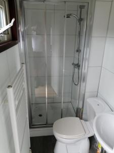 a bathroom with a shower and a toilet and a sink at Recreatiepark Maas en Bos in Wellerlooi