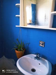 a bathroom with a sink and a mirror and a plant at Cute Yellow house at the beach in Praia da Arrifana