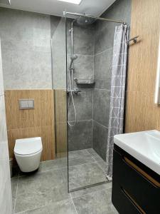 ein Bad mit einer Dusche, einem WC und einem Waschbecken in der Unterkunft Apartament Na Wzgórzu in Iwonicz-Zdrój