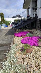 シュライデンにあるKermeterblickの紫白の花々が咲く庭園