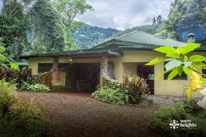 a house in the middle of a garden at Snow Heights Lodges in Kasese