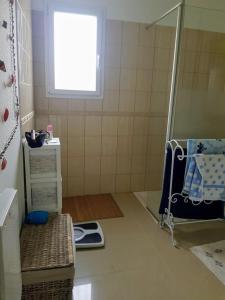 ein kleines Bad mit einer Dusche und einem Fenster in der Unterkunft Batellu in Ventiseri