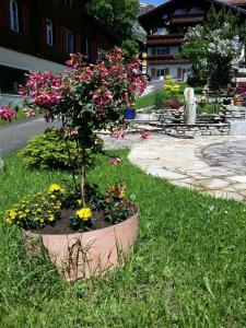 O grădină în afara Casa Larisch